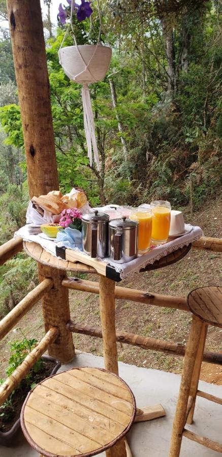 Canto Do Pavao Lodge Visconde De Maua